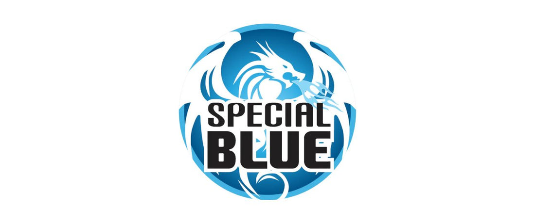 Behind the Dragon Stamp: How Special Blue Ensures Product Safety and Quality